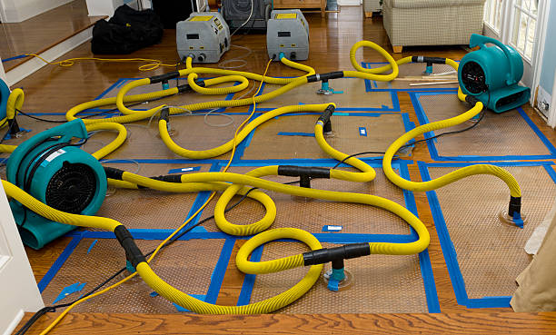 Professional Basement Flood Cleanup technician working in Narvon, PA
